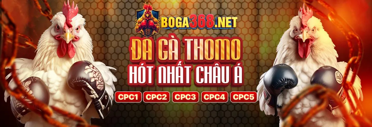 Tin tức y088 mới nhất về cá cược trực tuyến và khuyến mãi hấp dẫn