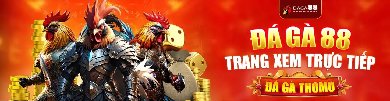 Đá gà trực tuyến kịch tính tại y088